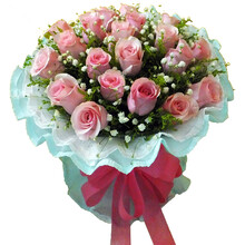 乐舞鲜花速递 11枝粉玫瑰花束 19朵粉玫瑰花 生