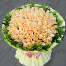 乐舞鲜花速递 香槟玫瑰花束 生日订花礼物 全国