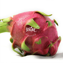 【天鲜配】越南火龙果 抗氧化+抗衰老 4个 今日