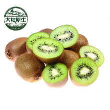 大地原生 佳沛意大利奇异果 进口水果 新鲜猕猴