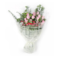 其他鲜花绿植 【行情 价格 评价 正品行货】-京东商城