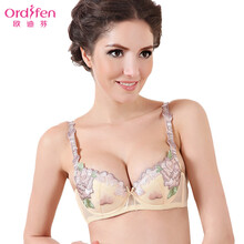欧迪芬<em>文胸</em> 3/4<em>杯型</em> 有钢圈 三排两扣 XA13301