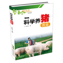 书籍图片