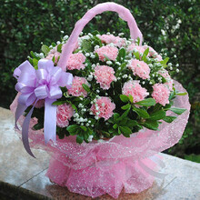 北京花篮祝福鲜花绿植 【行情 价格 评价 正品行