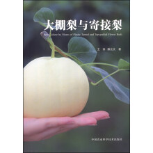 书籍图片