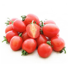 YC 优质水果 千禧圣女果 樱桃小番茄1.7kg(限北