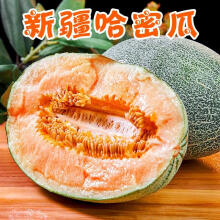 文勤新疆吐鲁番哈密瓜网纹甜瓜应季生鲜水果 1-2个【净重3-4斤】
