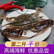 梭子蟹