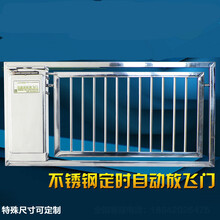 不锈钢鸽子用品用具信鸽鸽具赛鸽自动门信鸽子定时放飞门鸽子笼门