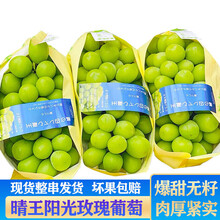 玫瑰葡萄