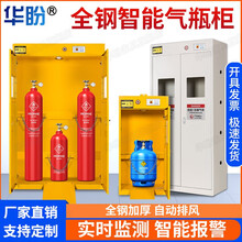 哪些气体要运用到气瓶存储安全柜？