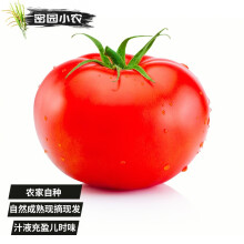 密园小农 西红柿 沙瓤农家种植普罗旺斯西红柿生吃番茄水果现摘现发柿子 约2kg