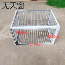 鸽子自动门