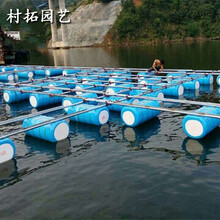 百家乐在线注册网址2019-2023年互聯網+花卉行業運營模式及市場前景研究報告