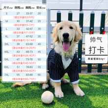 大型犬宠物衣服 条纹西装上装(主图款) 6xl:胸围78-83cm(建议体重约50
