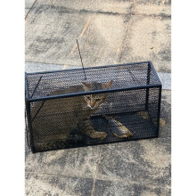 抓猫笼捕猫神器自动幼猫捕笼小区流浪猫抓捕笼超市驱赶捕猫笼捉猫神器