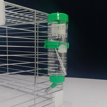 宠物饮水器 滚珠水壶60-500ml水壶 兔兔水壶仓鼠龙猫豚鼠水壶 绿色250