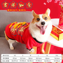 腊肠狗衣服