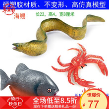三只海洋动物模型仿真海洋生物玩具公仔套装儿童认知科普玩偶 海鳗