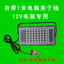 12v超亮led投光灯12伏低压灯泡24v48v60v72v夜市地摊电瓶车碘钨灯 12v