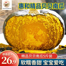 新鲜贝贝南瓜5斤装 精品惠和贝贝南瓜 真贝贝板栗南瓜 宝宝辅食迷你小