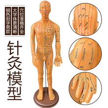 轻之叟针灸穴位人体模型全身家用中医十二经络图小皮人硅胶扎针练习