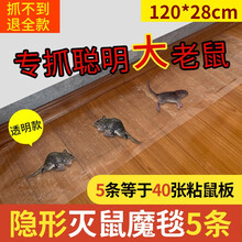 《苏丹的游戏》女术士简单击杀方法 女术士怎么杀