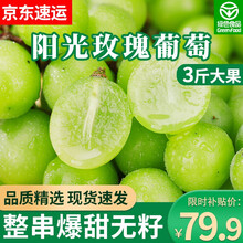 玫瑰葡萄