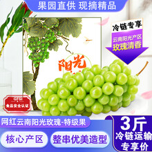 玫瑰葡萄