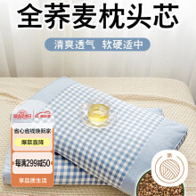 艾薇 枕头荞麦枕100%荞麦壳枕头枕芯安睡枕颈椎枕 浅蓝 一只装 35*55cm