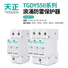 天正电气 TGDY55II-20 10kA/20kA 420V  2P 338020100207
电涌保护器