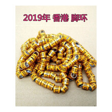 信鸽足环