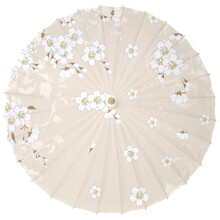 樱花纸伞
