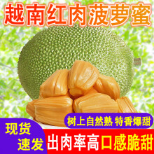 越南红肉菠萝蜜进口红心菠萝蜜一整个大果新鲜正宗热带生鲜水果 红肉菠萝蜜6-8斤【精选装】
