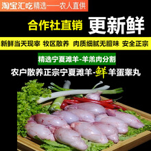 羊宝 羊蛋羊睾丸 新鲜2斤 羊外腰烧烤羊蛋羊鞭羊腰子盐池滩羊