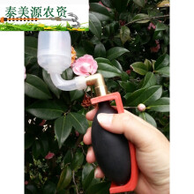 法耐(fanai) 猕猴桃 西红柿 番茄 黄瓜授粉器 传授花粉工具抖音