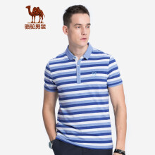 骆驼（CAMEL）男装 夏季男青年休闲条纹T恤 时尚绣标微弹上衣 浅蓝 XL