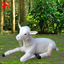 标本仿真山羊模型奶粉店装饰动物吉祥物玩具羊摆件 真皮坐姿小羊羔
