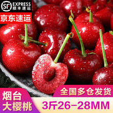 山东大樱桃