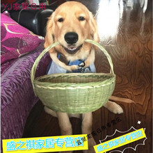 狗篮子