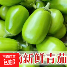 新茄瓜】价格_新茄瓜图片- 京东