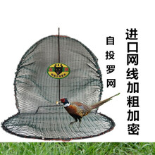 防鸟网画眉鸽子拍网新款粘抓逮捕捉缠防鸟网野鸡地拍网绳套绊脚绳套地