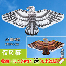 绘画涂鸦填色涂色手工幼儿园教学空白风筝自制作易飞 仅老鹰b款风筝