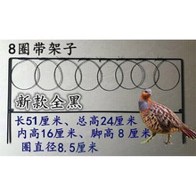 五金工具竹鸡门套抓鸟工具白面水鸡套鹧鸪毛鸡竹鸡门套诱捕器绳套线套