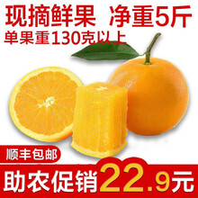 【顺丰快递】重庆奉节脐橙 现摘新鲜维vc水果 三峡特产 橙子 净重5斤