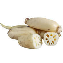 5kg 洪湖水果莲藕 脆藕生鲜蔬菜 新鲜青泥莲藕