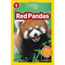 国家地理分级读物 Red Pandas 进口儿童读物