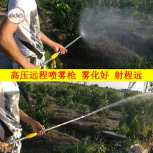 果树专用喷枪高压农用可调节雾化远程射距离高度机动打药机喷雾枪