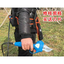 电动剪刀果树电动剪枝剪园林高枝剪修枝剪充电树枝电动修枝剪 电动