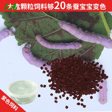 彩色蚕宝宝饲料